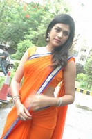 Actress Shraddha Das Saree Photos